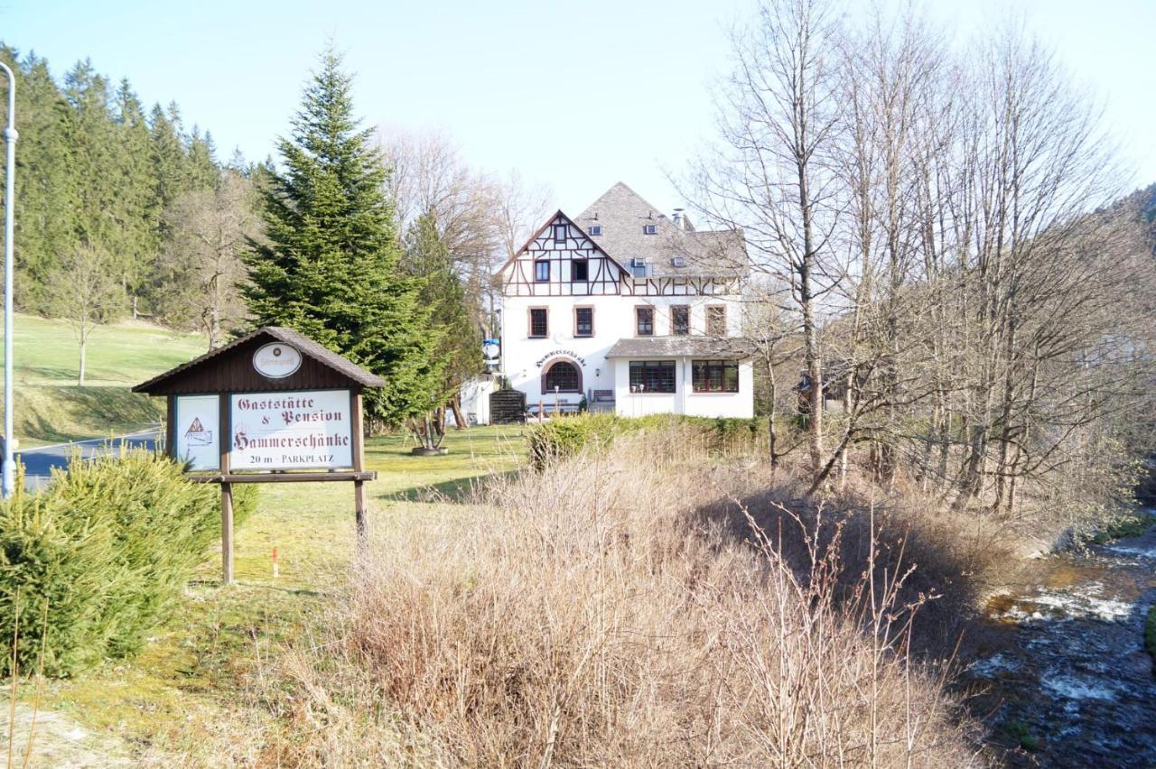 Gasthof Und Pension Hammerschaenke Wildenthal Экстерьер фото