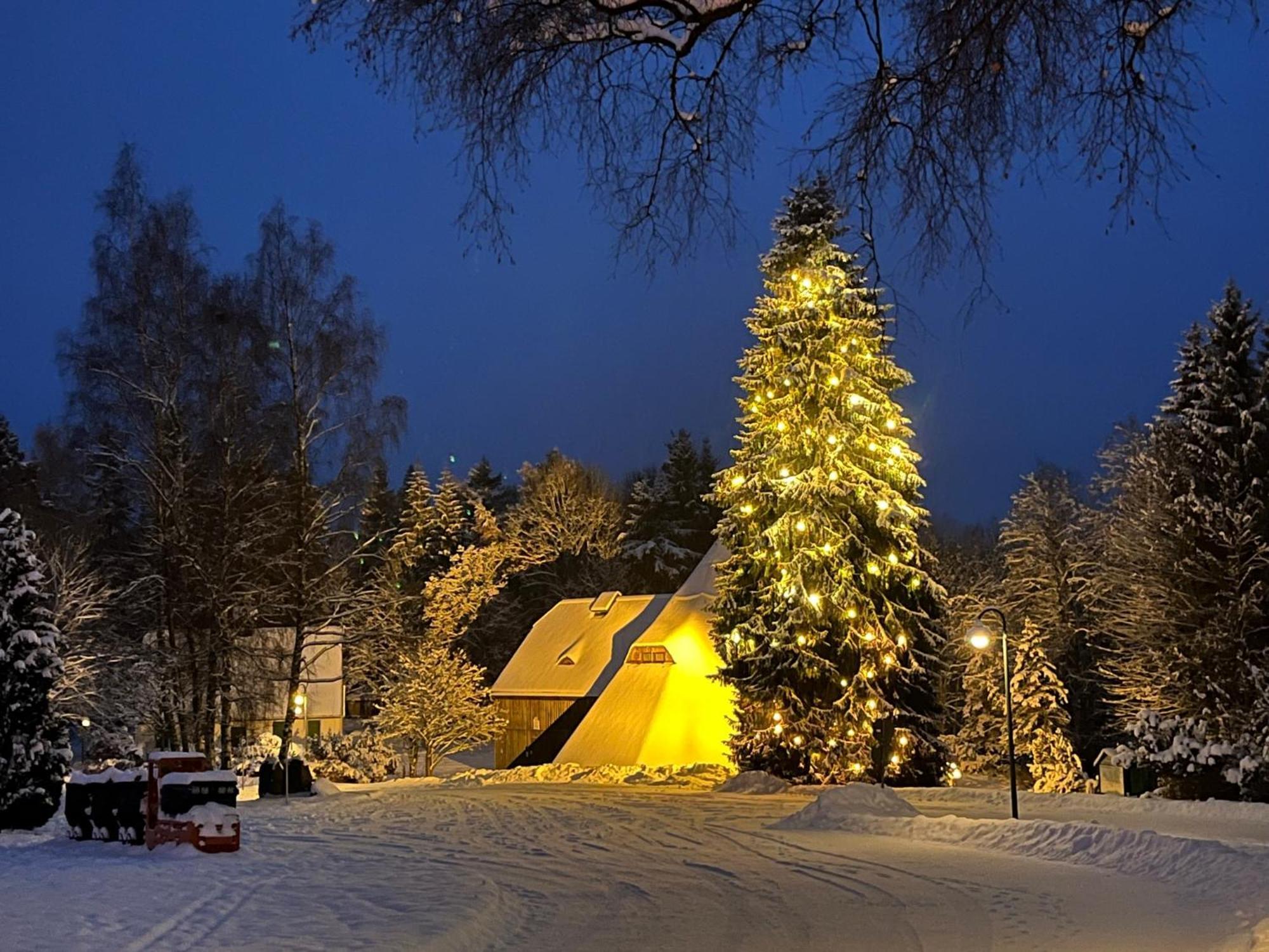 Gasthof Und Pension Hammerschaenke Wildenthal Экстерьер фото